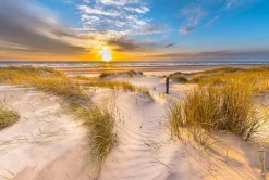 Outlet Decopanel SUNNY MORNING Kunstdrucke|Dekoration