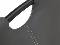 Freischwinger APRIL Freischwingerstühle