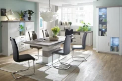 Freischwinger ATOS 1 Freischwingerstühle