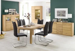 Freischwinger ATOS 1 Freischwingerstühle