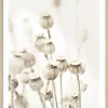 Sale Gerahmtes Bild DRIED POPPIES Holzbilder|Bilder