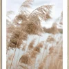 Discount Gerahmtes Bild IN THE BREEZE Holzbilder|Bilder