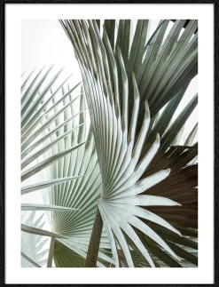 New Gerahmtes Bild JUNGLE LEAVES Holzbilder|Bilder