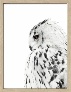 New Gerahmtes Bild SNOW OWL Holzbilder