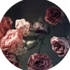 New Glasbild BEAUTIFUL ROSES Glasbilder