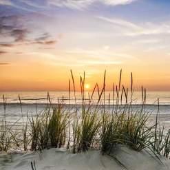 Hot Glasbild LONELY DUNE Glasbilder