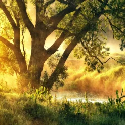 Clearance Glasbild MISTY LANDSCAPE I Glasbilder