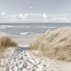 New Glasbild OASE DER SINNE I Glasbilder