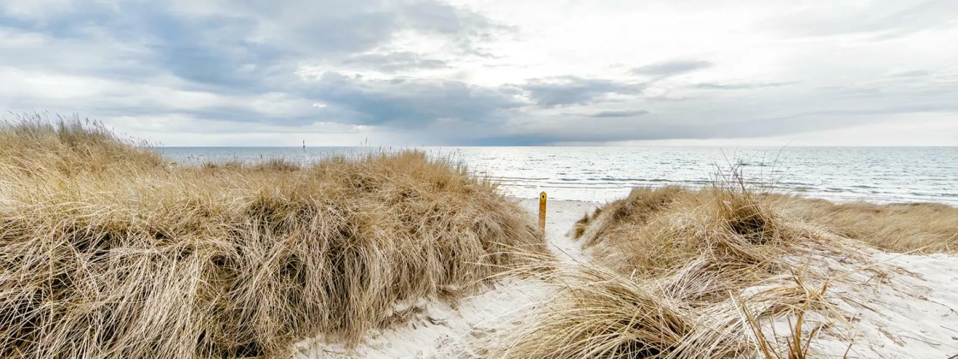 Discount Glasbild OCEAN VIEW III Glasbilder|Bilder