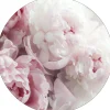 Discount Glasbild PEONIES II Glasbilder