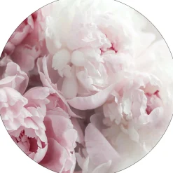 Discount Glasbild PEONIES II Glasbilder