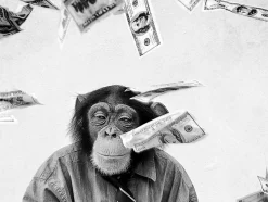 Best Glasbild SCHIMPANSEN IM GELD Glasbilder