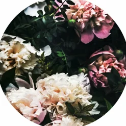 Discount Glasbild SPICERY I Glasbilder