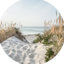 Glasbild SUNRISE Glasbilder