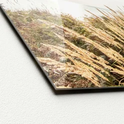 Glasbild SUNRISE Glasbilder