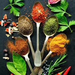 Hot Glasbild VINTAGE HERBAGE II Glasbilder