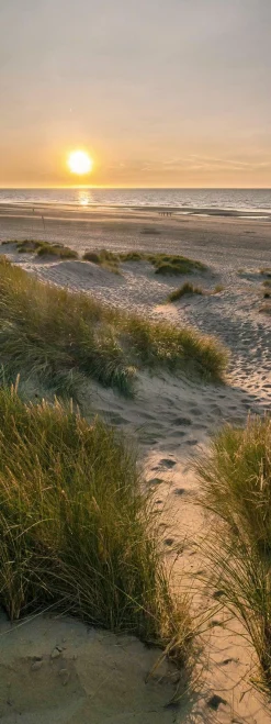 Sale Glasbild WEG ZUM STRAND II Glasbilder