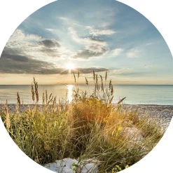 Discount Glasbild WILDER STRAND Glasbilder