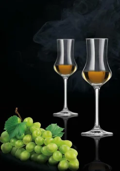 Online Grappaglas-Set CLASSICO Gläser