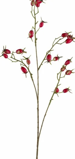 Online Hagebutte Santa'S Village