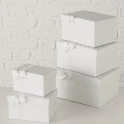 Online Kartonage BOWLINA Schüsseln|Aufbewahrung