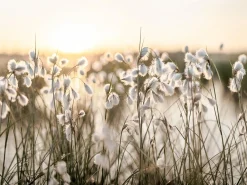 Keilrahmenbild Keilrahmenbilder|Bilder