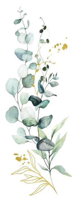 New Keilrahmenbild EUCALYPTUS Keilrahmenbilder