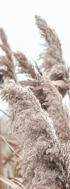 Clearance Keilrahmenbild IN THE BREEZE Keilrahmenbilder