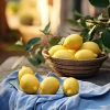 Online Keilrahmenbild LEMONS III Keilrahmenbilder