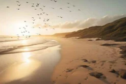 Hot Keilrahmenbild SEA MOOD XI Keilrahmenbilder