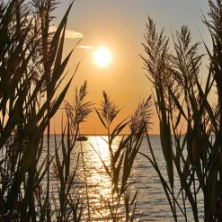 Discount Keilrahmenbild Sylt Keilrahmenbilder