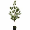 Sale Kiefernbaum Weihnachtsbäume