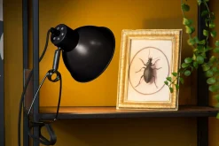 Clearance Klemmleuchte MOYS Klemmleuchten