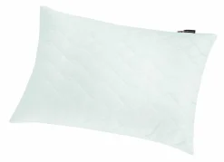 Clearance Kopfkissen ROYAL Kopfkissen|Kissen