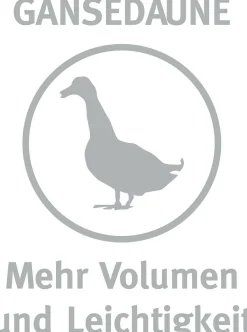 Hot Kopfkissen MALI Kopfkissen|Kissen