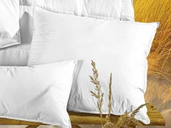 Online Kopfkissen Kopfkissen|Kissen