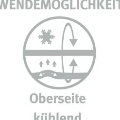 New Kopfkissen SOFTY COOL BIO Kopfkissen|Kissen