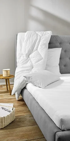 Clearance Kopfkissen SOFTY SINFONIE BIO Kopfkissen|Kissen