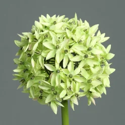 Kunstblume Allium Pflanzen