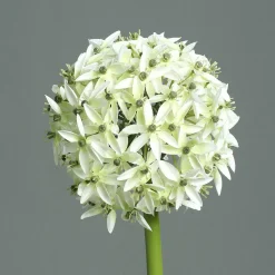 Best Kunstblume Allium Pflanzen