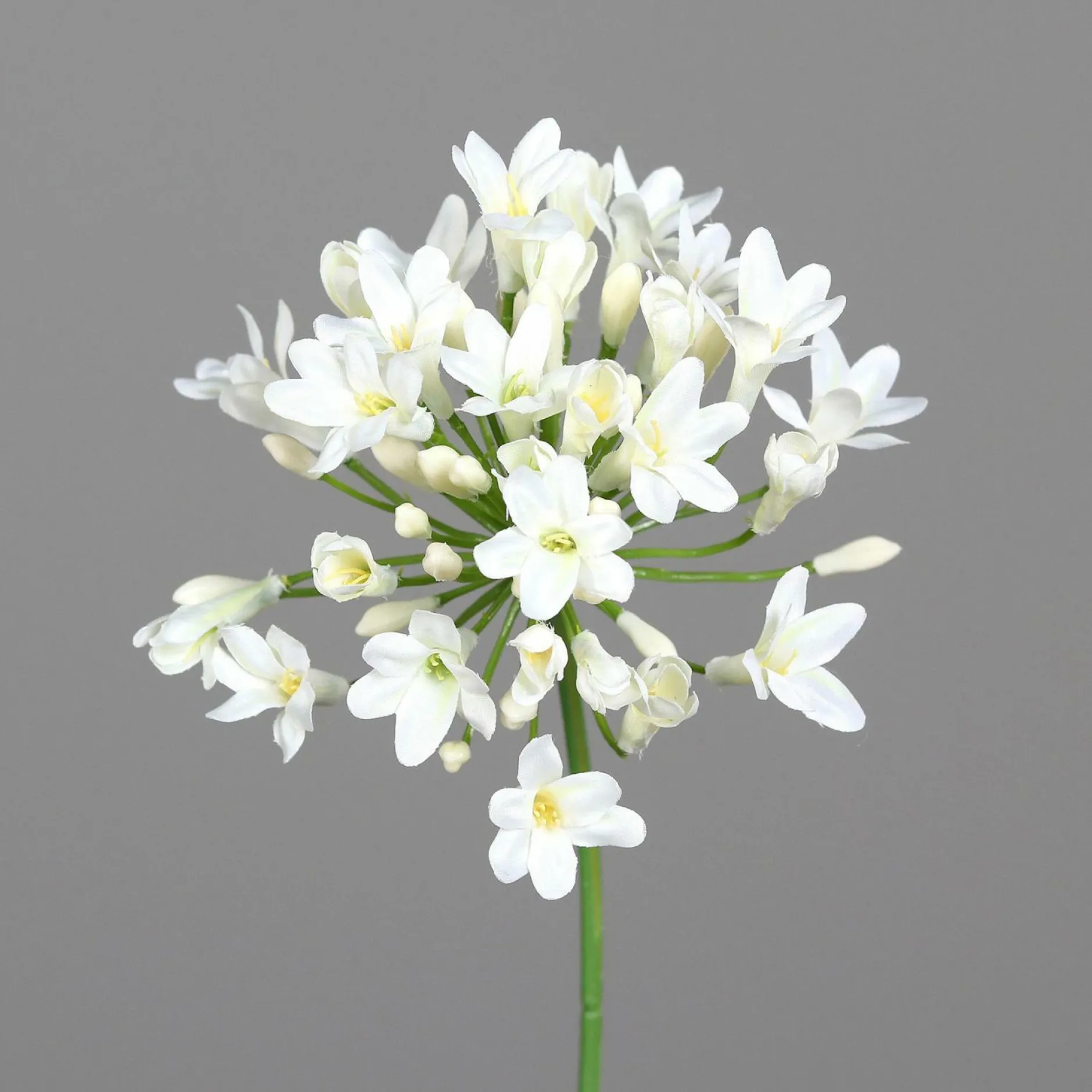 Kunstblume Amaranthus Pflanzen