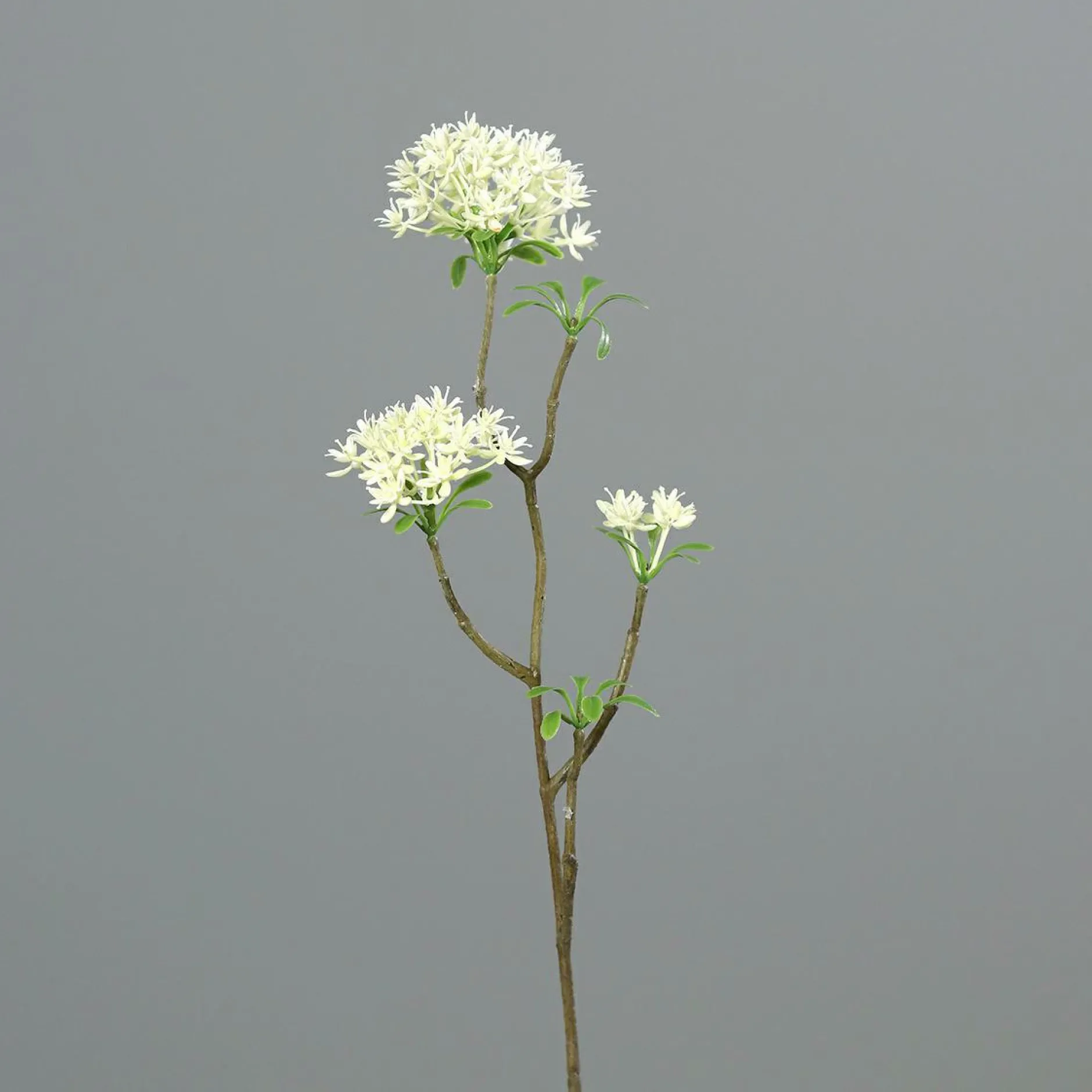 Outlet Kunstblume BOWARDIENZWEIG Pflanzen