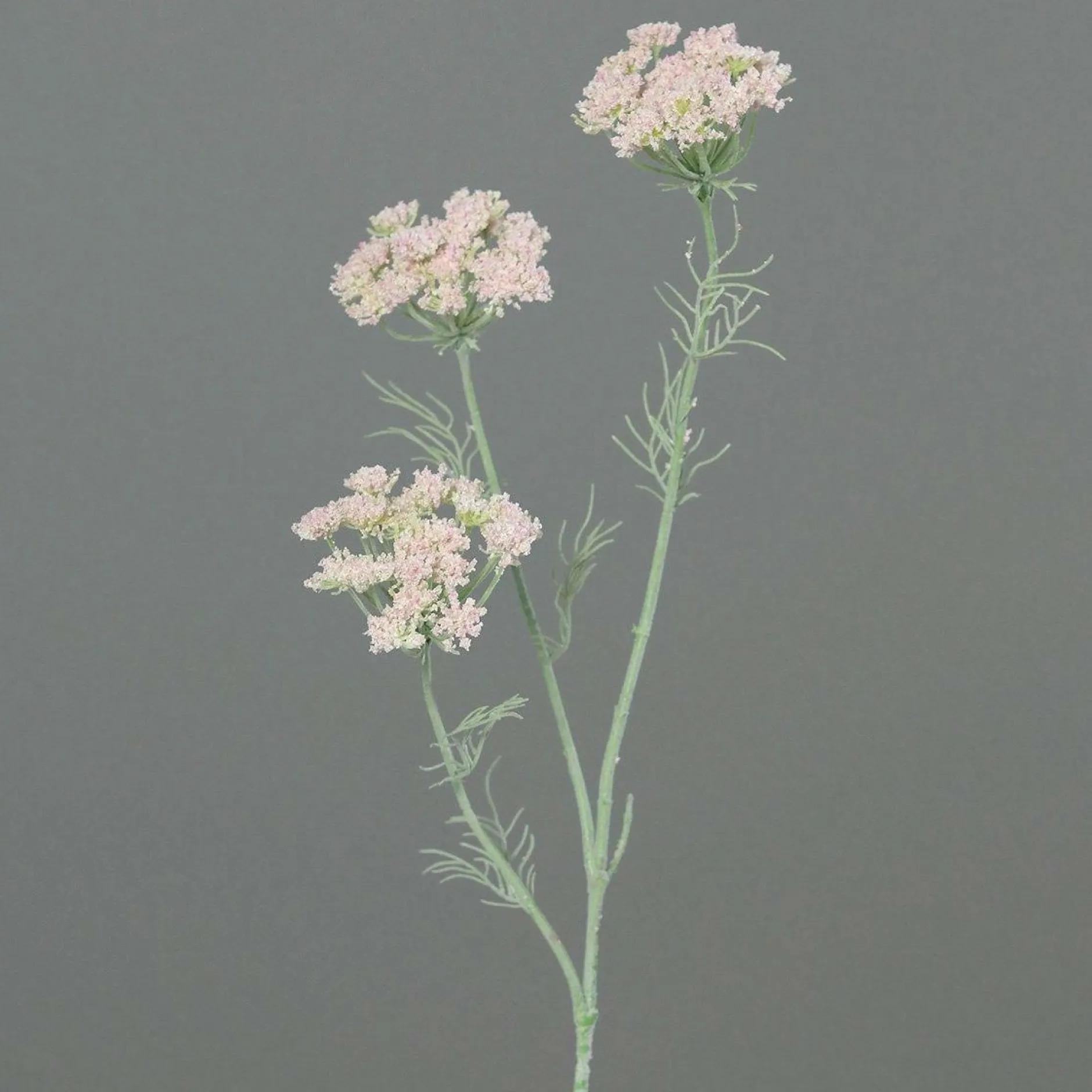 Clearance Kunstblume Dillzweig Pflanzen