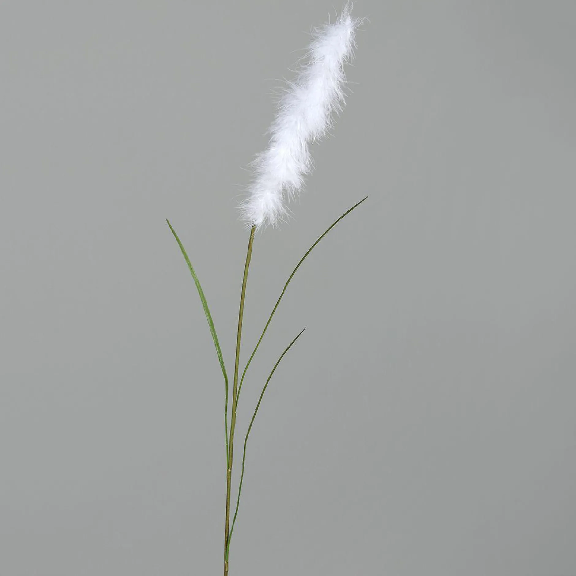 Online Kunstblume Fruchtstand Pflanzen