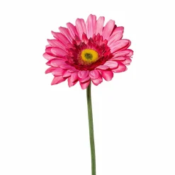Online Kunstblume GERBERA Pflanzen