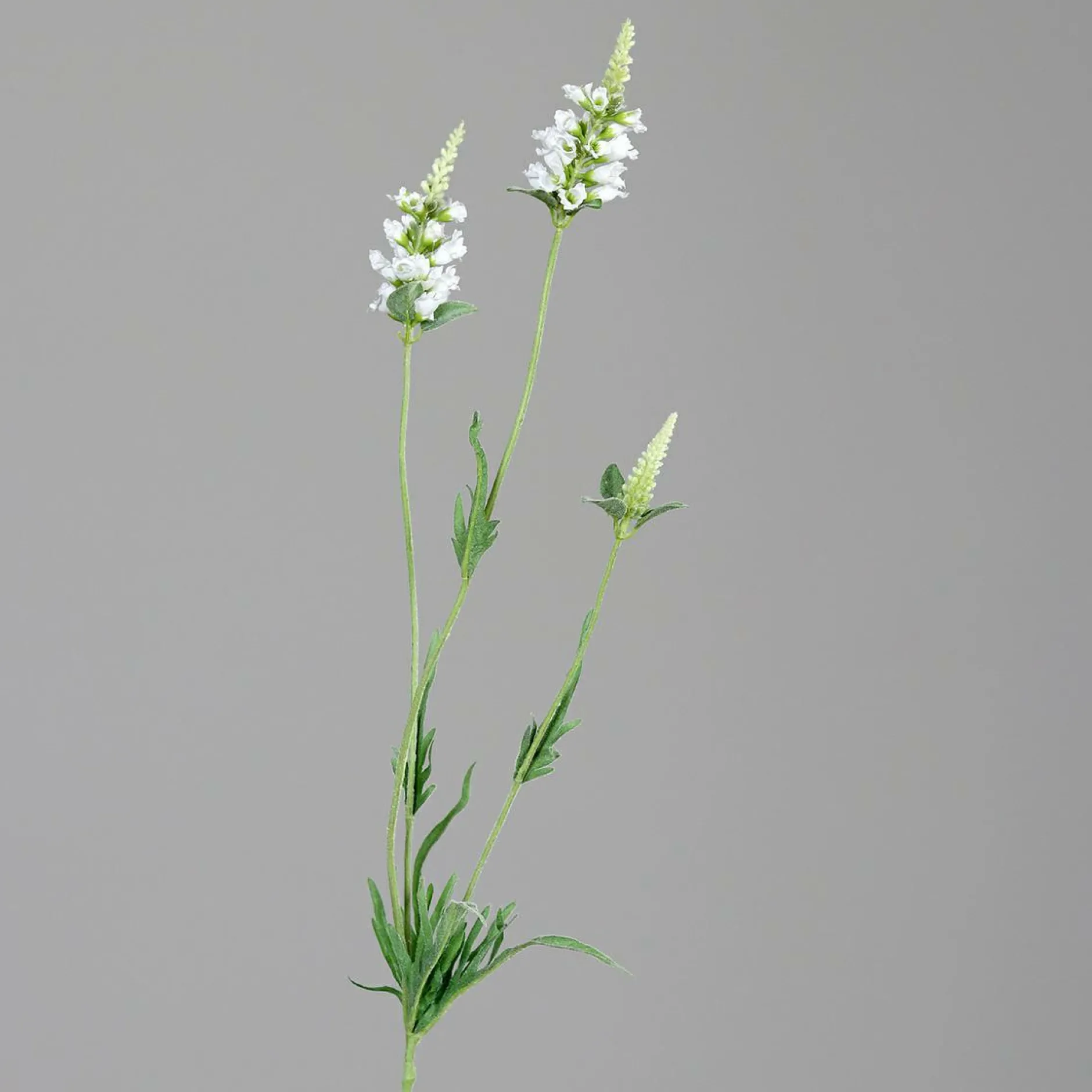 Kunstblume LÖWENMÄULCHEN Pflanzen