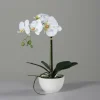 Best Kunstblume Orchidee Pflanzen
