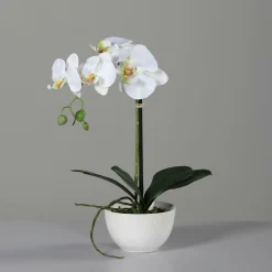 Best Kunstblume Orchidee Pflanzen