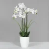 Kunstblume Orchidee Pflanzen