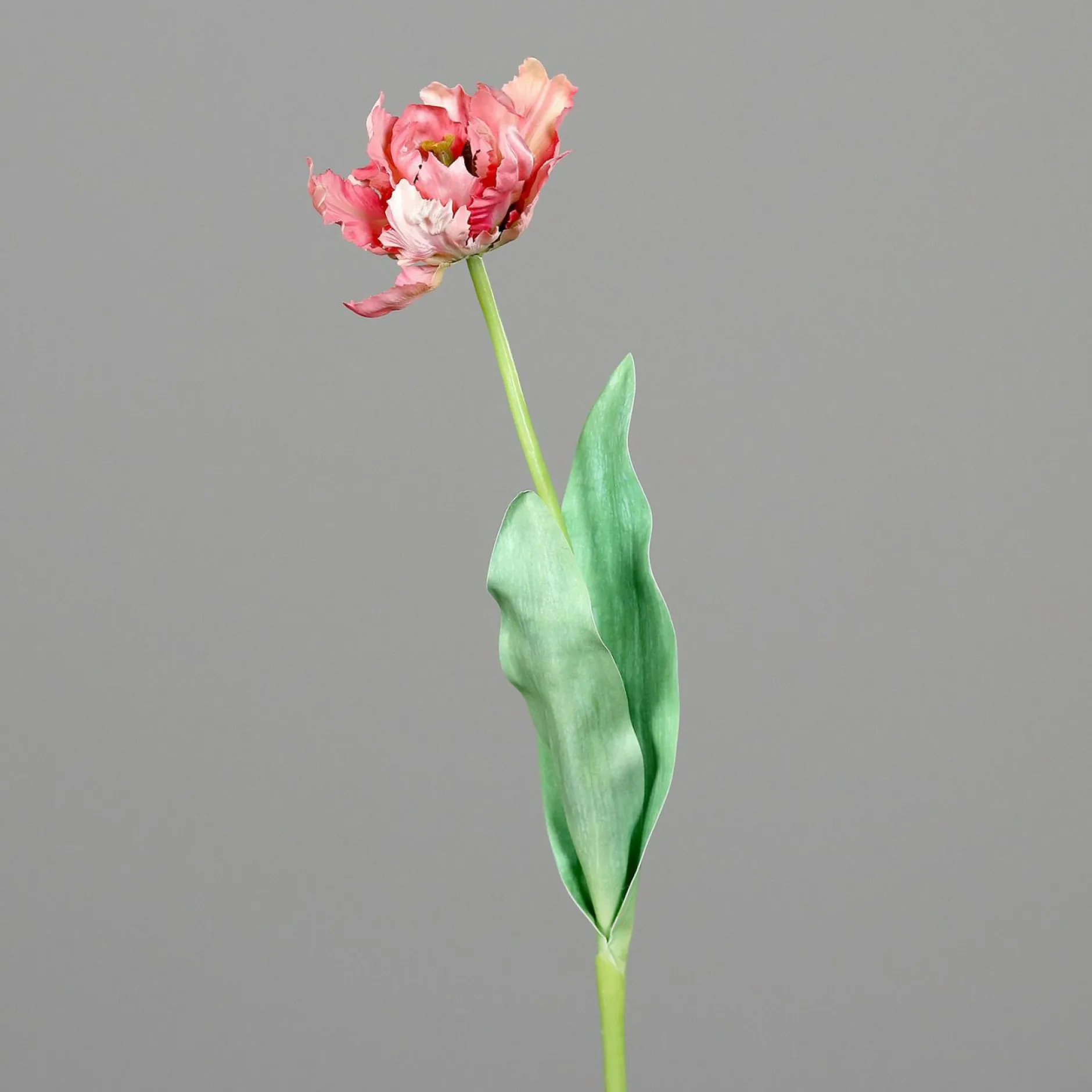 Kunstblume Tulpe Pflanzen